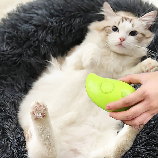 Steamy Cat Brush with Leave-On Essence - USB Charging