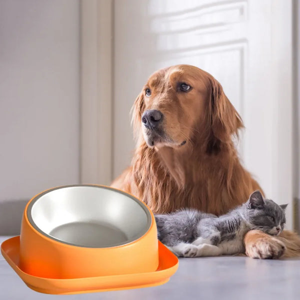 Tilted No-Spill Cat Bowl/Dog Feeder for Small to Medium Pets